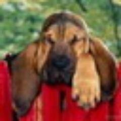 Кто не доволен тем, что имеет, тот не был бы доволен и тем, что хотел бы иметь.