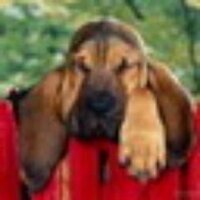 валентин савин (@valyasavin90) 's Twitter Profile