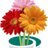foliant_orel's profile image