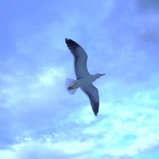 larisareznik's profile picture. 