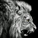 Elías Serrano Cerezo - @lesc94 - Twitter