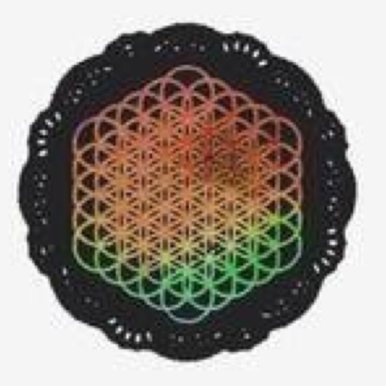 BMTH / BVB / PTV