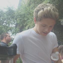 follow @sincerityziall she follows back on there !