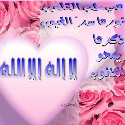 omarabrahym73f5's profile picture. 