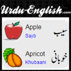 Free Urdu English lessons and dictionary