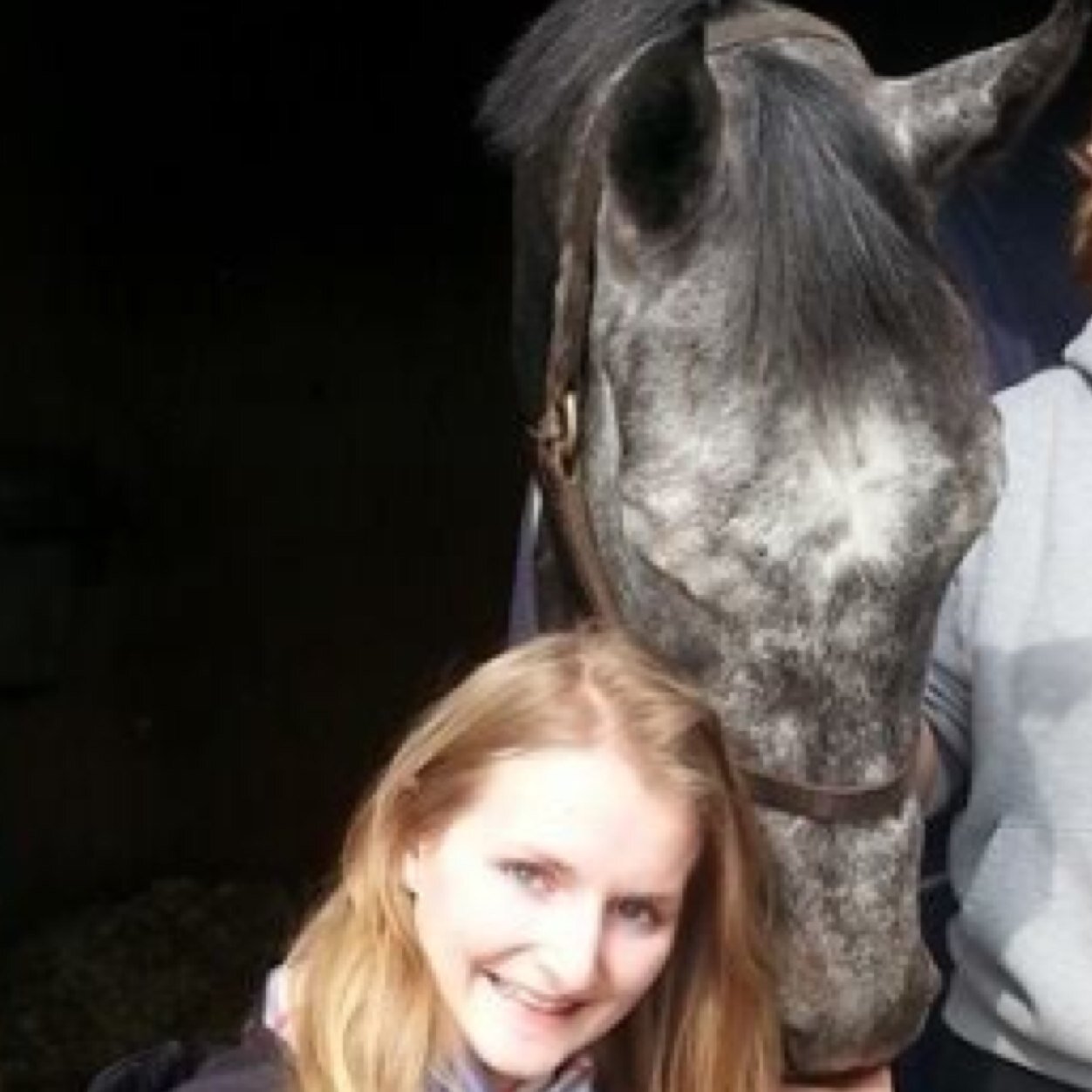 Harrihollyj's profile picture. 