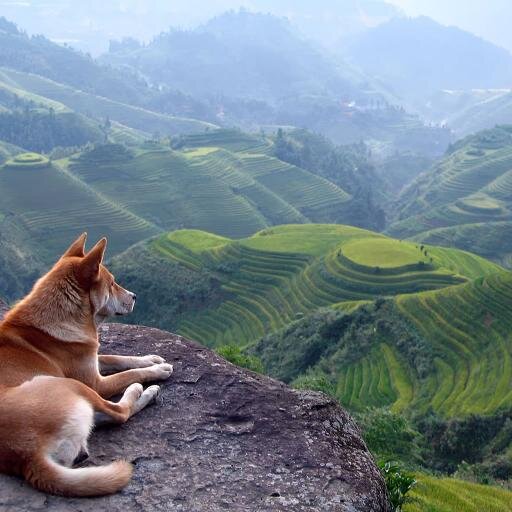 RaghuRajGupta01's profile picture. IT professional