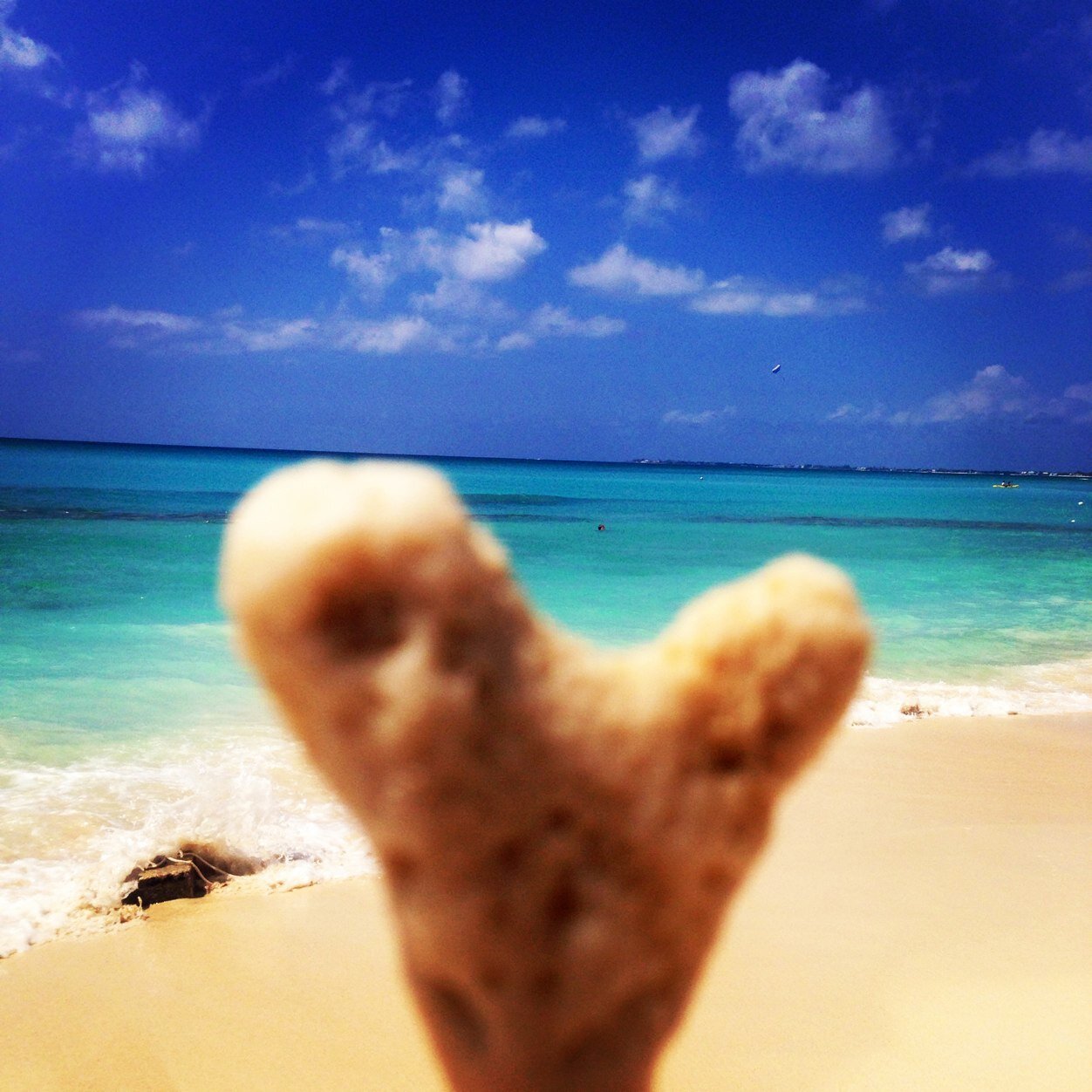 KZippy33's profile picture. Laughter - flowers- countrylife and coffee!