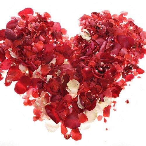 2fortwo4fun's profile picture. 