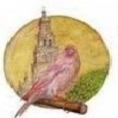 Esta Asociación nace en 1993 acogiendo a un grupo de amigos aficionados a la cría de aves cautividad. En la actualidad la componen mas de 70 socios.