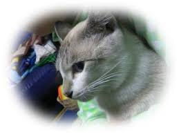 かわいいのに鼻から火wwwwwwwwwwwwww