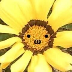 ゆずこさんのプロフィール画像