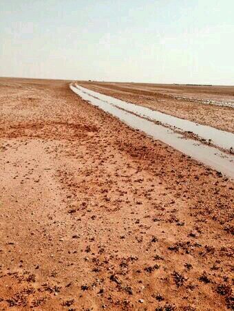 تابعني، اتابعك