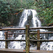 Laurel Falls Trail (2.5 miles round trip) is the most popular waterfall trail in the park. The paved road is relatively flat and passes through a forest.