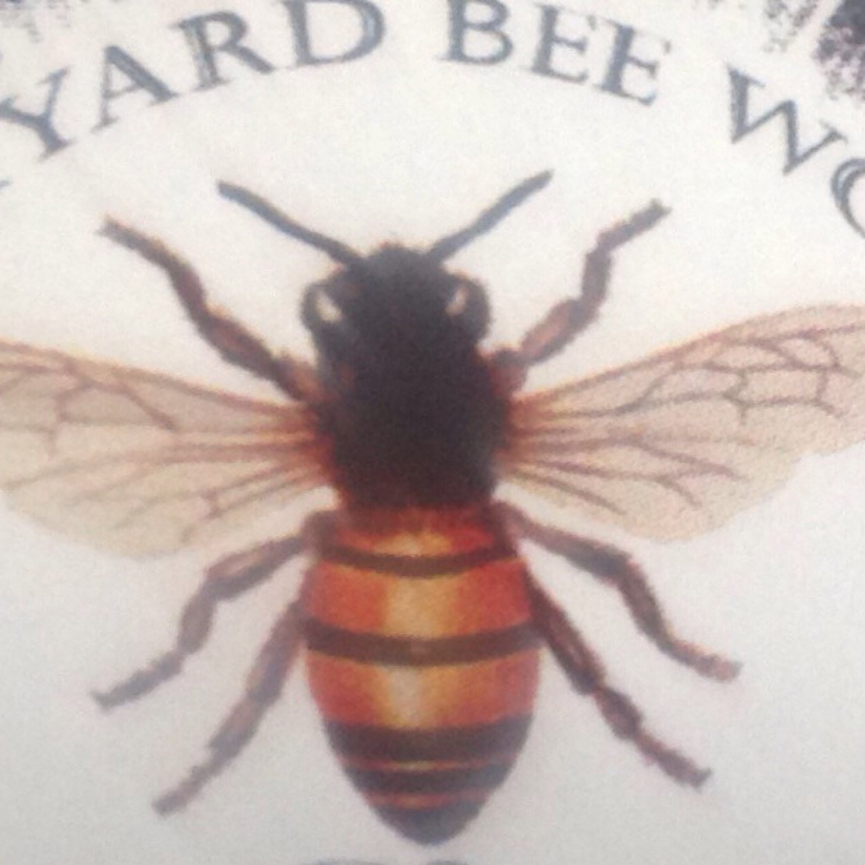 backyard_bee's profile picture. Hive Hosting. Local raw honey. Guelph's Urban Pollinators since 2007