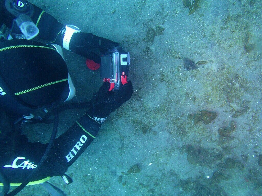旅行好き、ダイビング好き