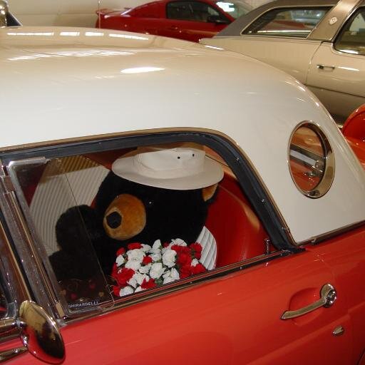 At Gerton Auto Sales Inc., we believe purchasing a motor vehicle should be a fun and enjoyable experience not a dreaded chore. We sell Classic & Late model cars