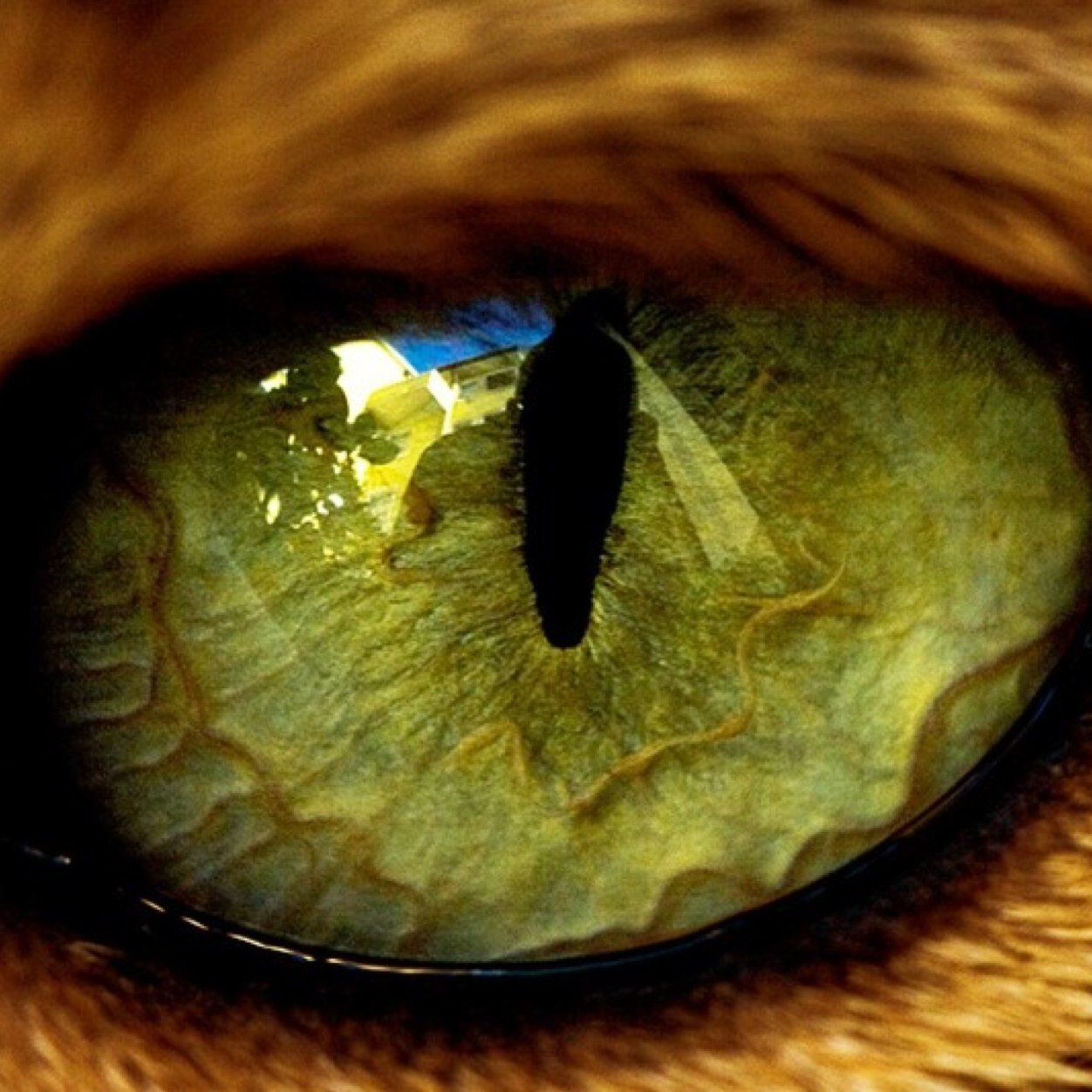 Thewlessa's profile picture. 