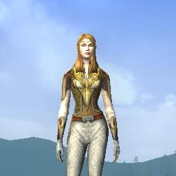 Lotro 堀窪サーバーにいます。やみの森出身。 おまつりと新エリア探検が好きです。