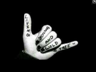 dwiprassetiyo's profile picture. 