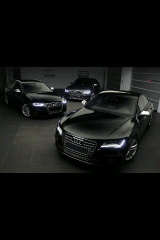 marco___sanchez's profile picture. 