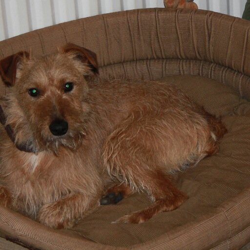 MRSJDF's profile picture. 