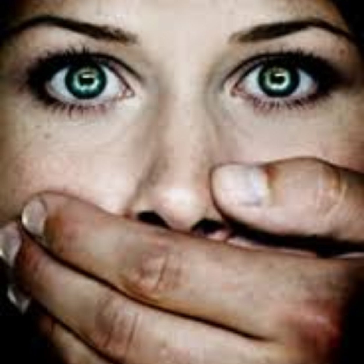 enddomesticabus's profile picture. Run by Mackenize F. and Maddie K.