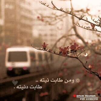 مرحوم يالي بدآخلي حي ♡.