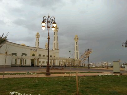 asdf29515's profile picture. 