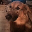 Nathan Freund - @nathan_freund - Twitter