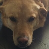 ellen taer (@etaer1221) 's Twitter Profile