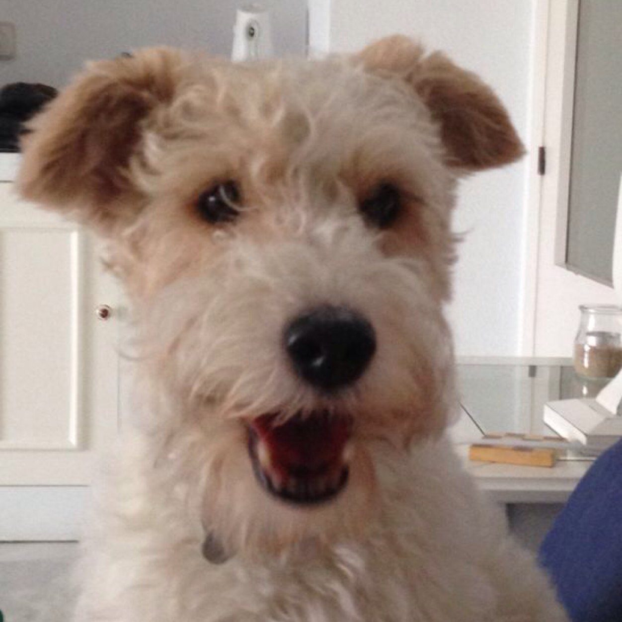 carlosgbaylin's profile picture. 