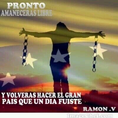 EliMarPra's profile picture. 