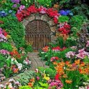 Lemuel Wilson - @17_lemuel - Twitter