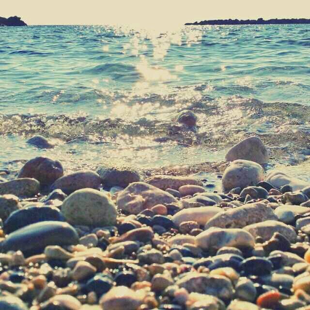 NaNa_flowepower's profile picture. to be or not to be? that is the question...!!!