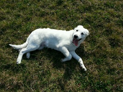 M_K_J_T_CZ's profile picture. 