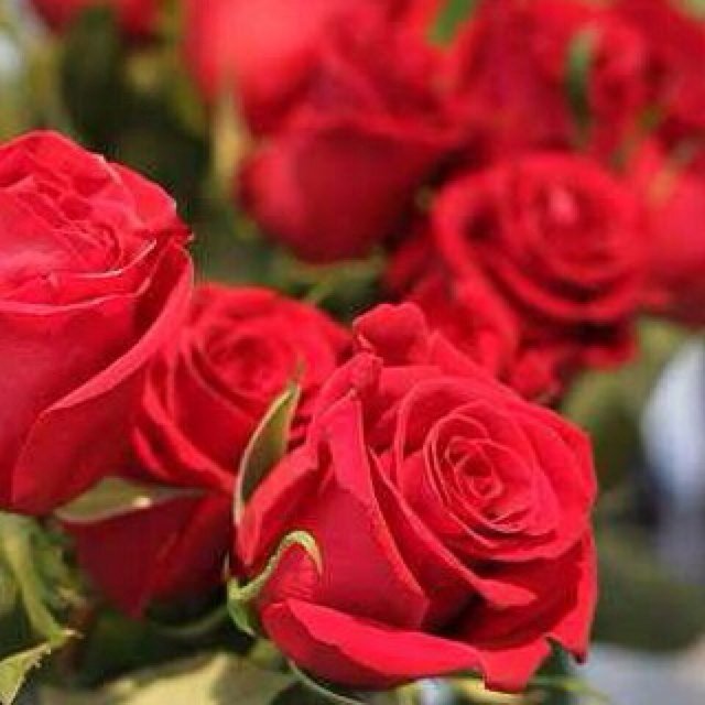 سبحان الله وبحمده سبحان الله العظيم