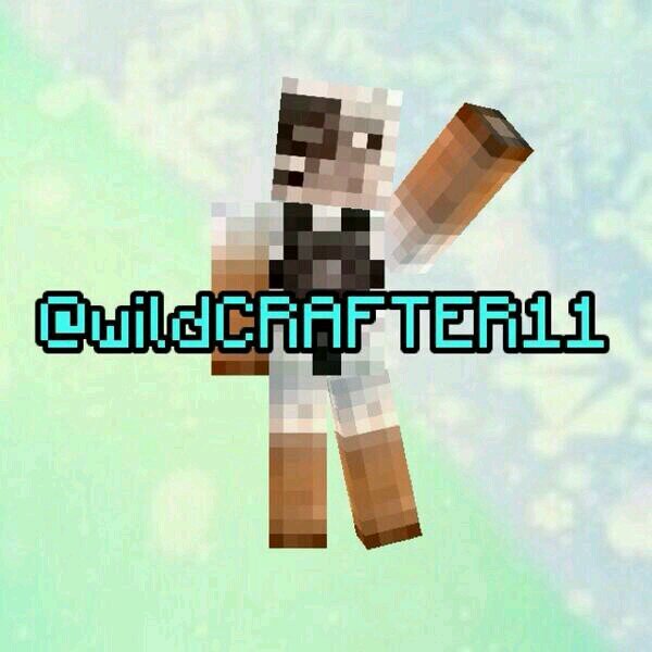 wildCRAFTER11's profile picture. 