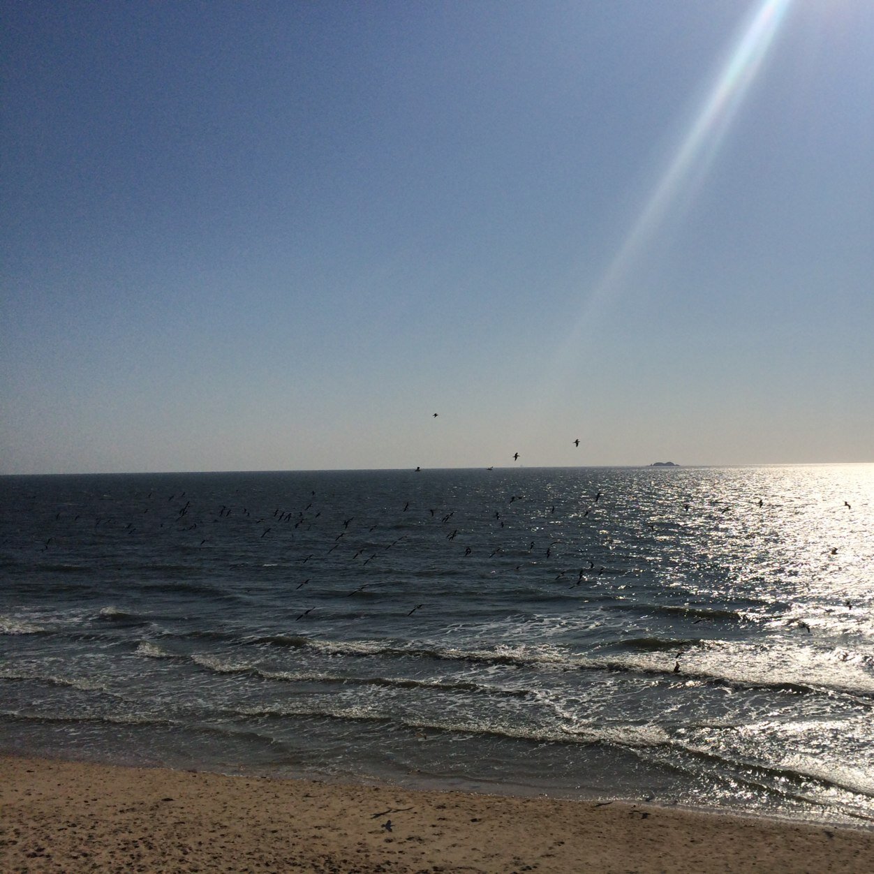 askadell's profile picture. 