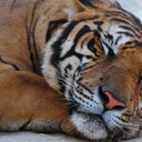 Kate Hobson - @KateHobson25 - Twitter