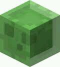 SlimeSteve1 Profile Picture