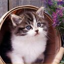 mostafa (@01288601373) Twitter
