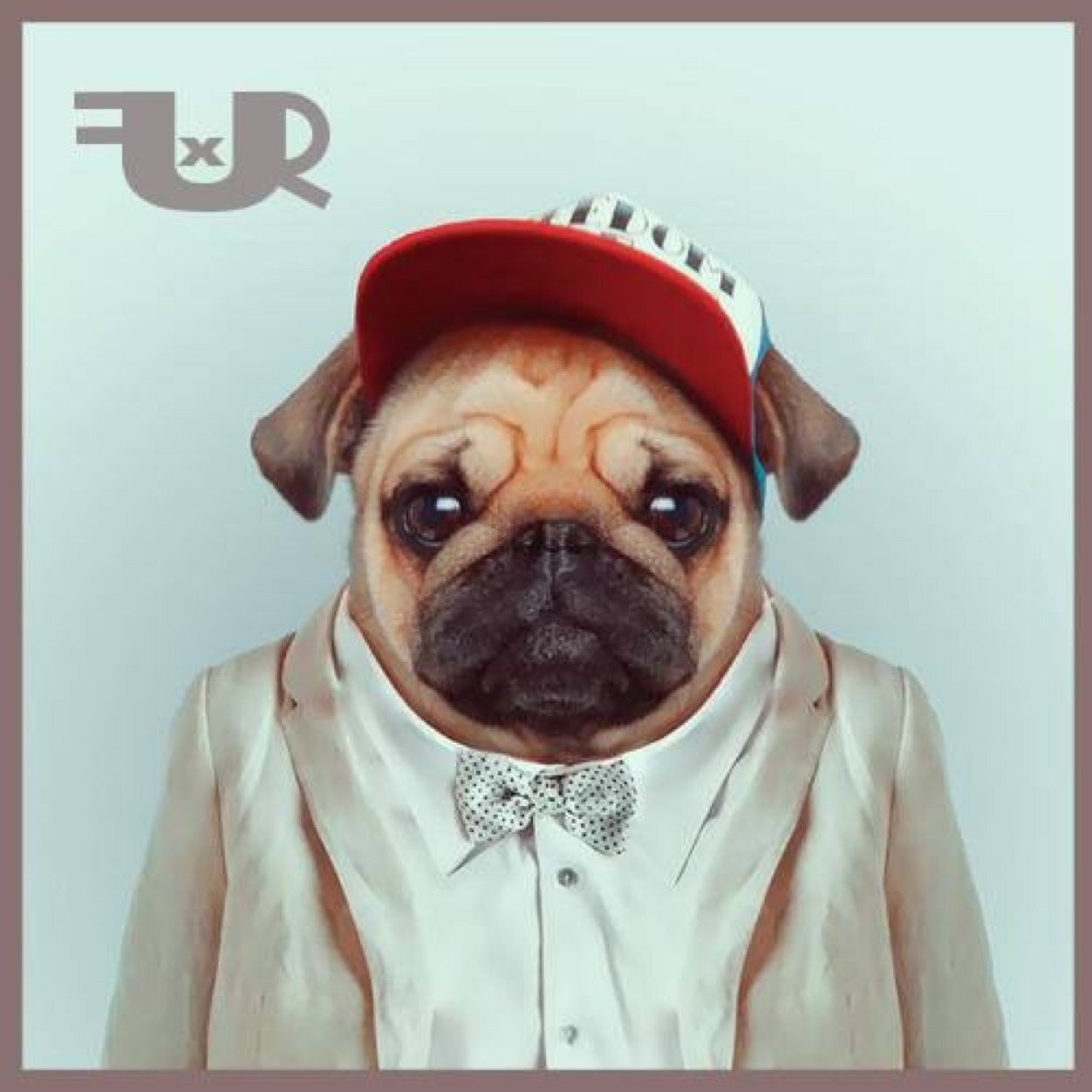 FURxofficial's profile picture. We're everywhere.