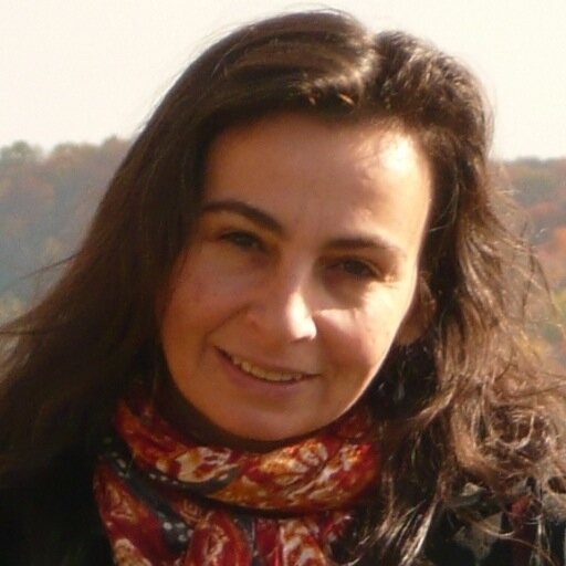 ildilazar's profile picture. Trainer and materials writer in teachers’ professional development for intercultural competence and cooperation