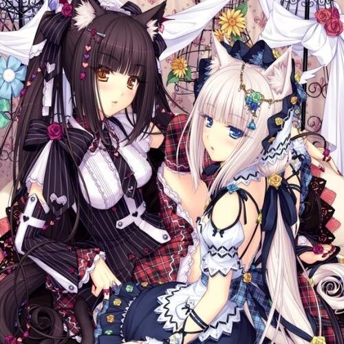 We are Twin Nekos! We have different personalities! Vanilla: Taken: @5enpa1(Aaron) Chocola: #Taken & Master: @Ren__Jinguji_ (Aoba)