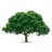 shareyourshare's profile image