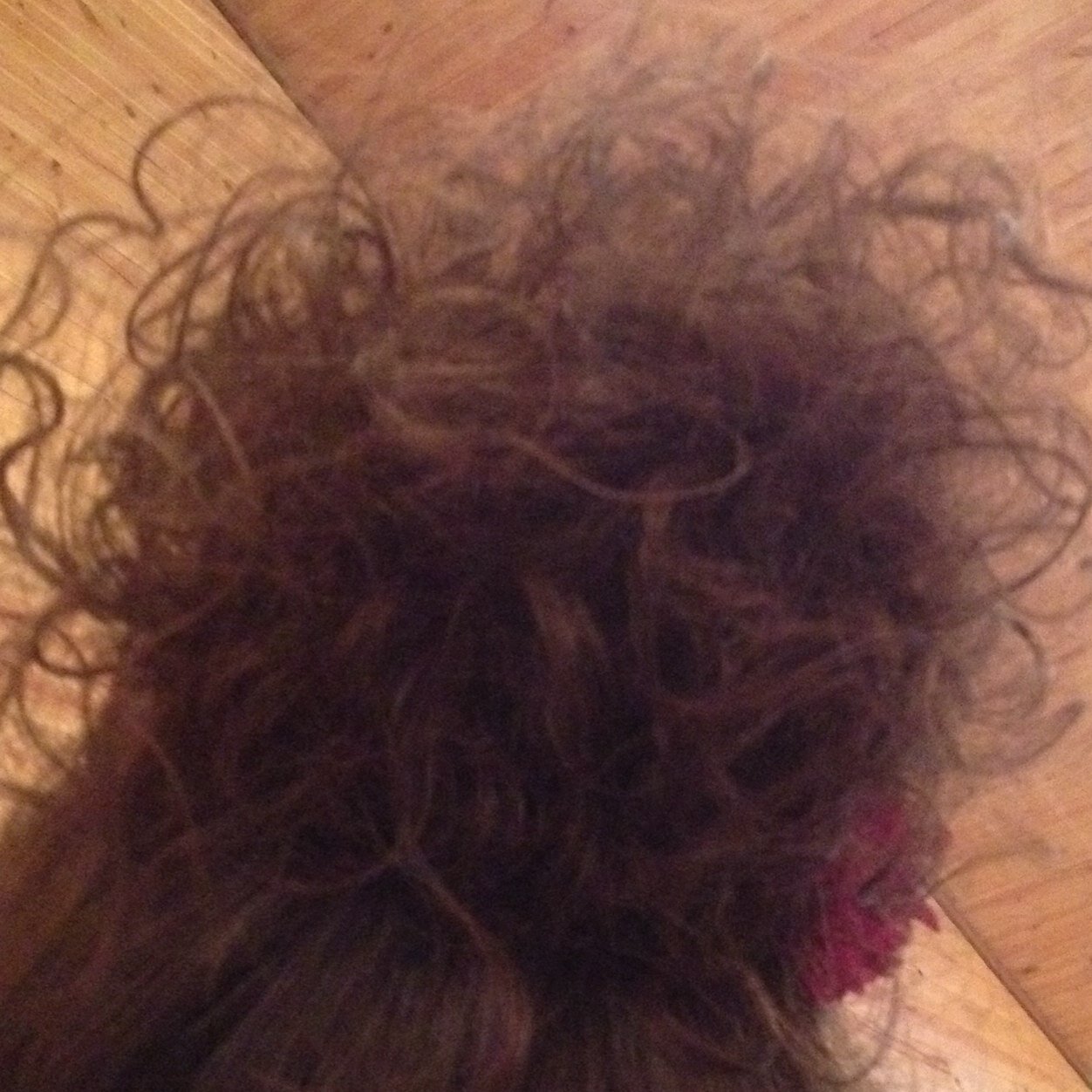 GraciesBun's profile picture. 