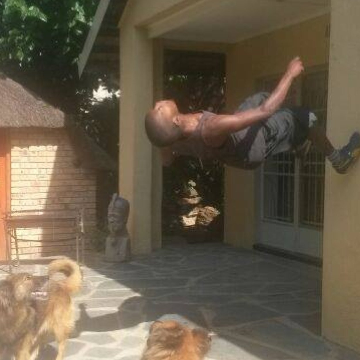 floetic501st's profile picture. Phil 4v13: 'I can do all things through Christ who strengthens me.' Freerunner, Longboarder, Motion Designer, Parkour Coach, TTRPG fanatic