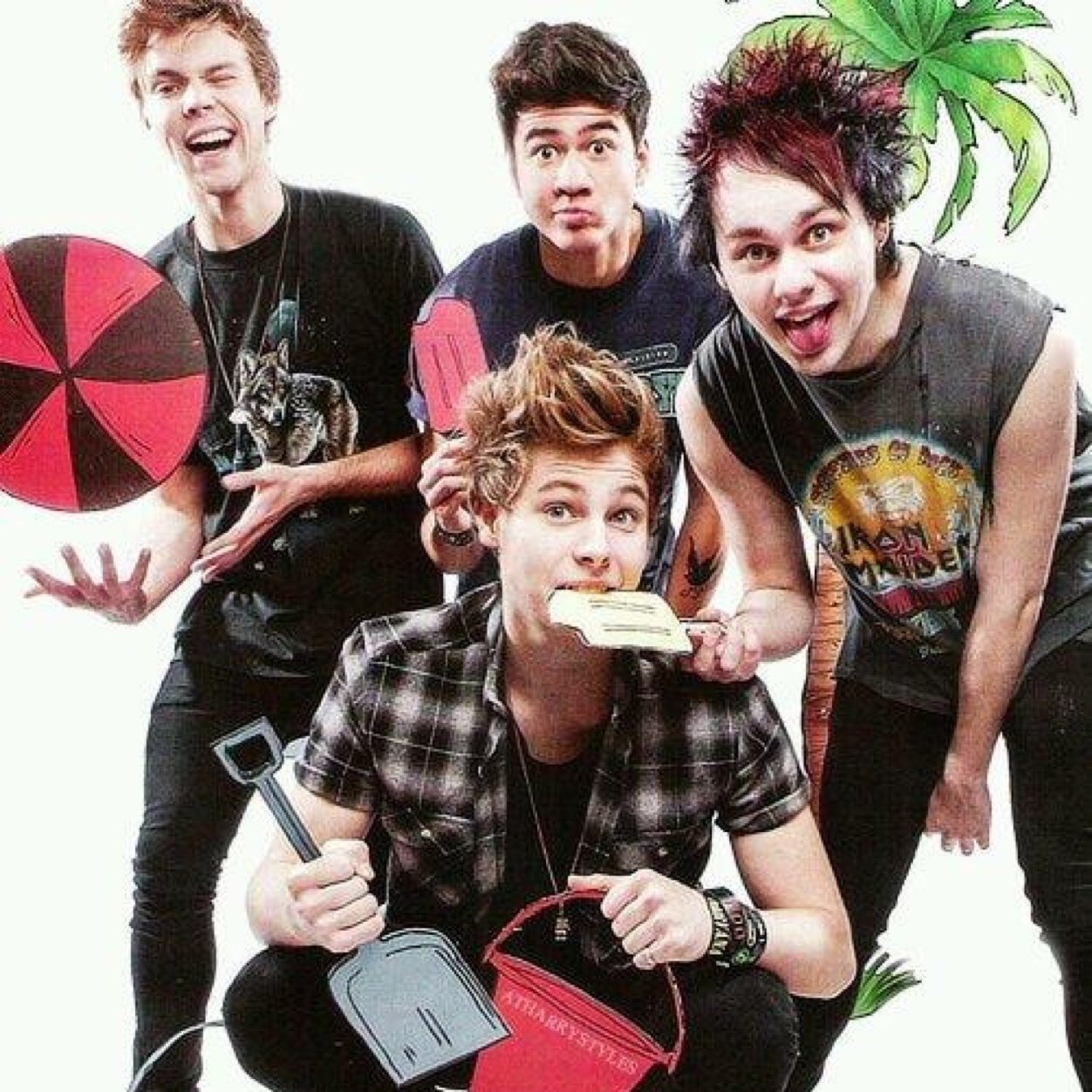 5sos are perfection (free follow from @captmikerowave )