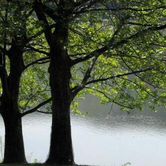 Do you have a family member who has a mental illness?